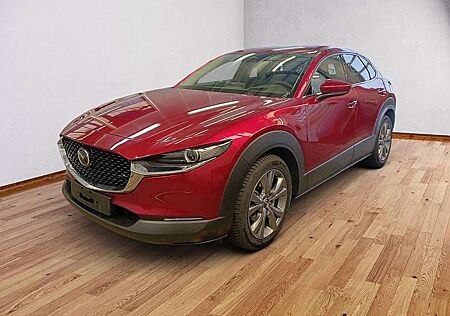 Mazda CX-30 2.5 Takumi Leder AUTOMATIK Matrix, Bose, PDC, 360°