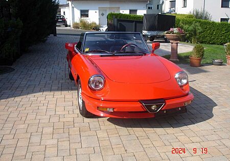 Alfa Romeo Spider 1.6**OLDTIMER-Cabrio**1985**Garagenfahrzeug