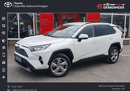 Toyota RAV 4 2.5 4x2 Hybrid Team Deutschland