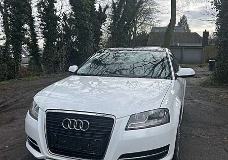 Audi A3 1.6 TDI Sportback DPF Attraction