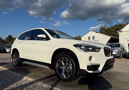 BMW X1 Baureihe xDrive 20 i xLine Sport Lenkrad