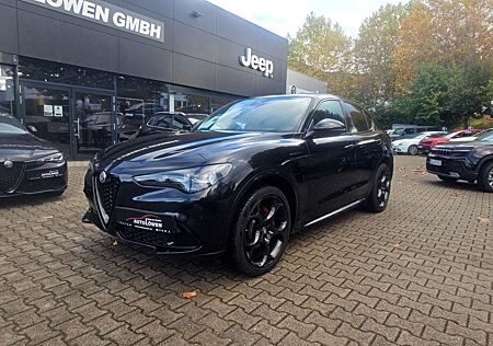 Alfa Romeo Stelvio gebraucht kaufen Alfa Romeo Stelvio 2.0 Turbo 16V Competizione Q4 (EURO 6d)