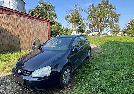 VW Golf Volkswagen V, 1.6 Mit 4 Sommerreifen