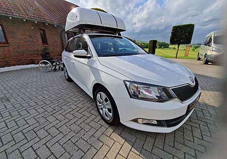 Skoda Fabia Ambition*Behindertengerecht*Selbstfahrer*