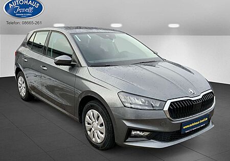 Skoda Fabia Selection, AHZ, Apple Car, RFK,Einparkhilfe hinten