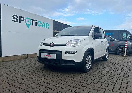 Fiat Panda Pandina Cross