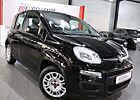 Fiat Panda 1.0 URBAN / KLIMA / SITZHEIZUNG / PDC