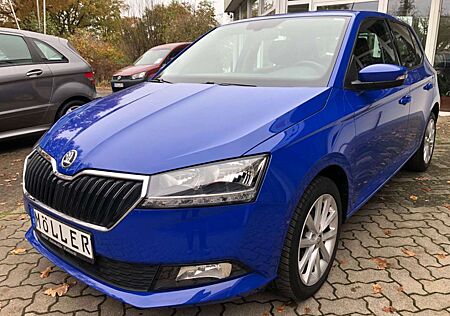 Skoda Fabia 1.0l TSI STYLE Navi Kamera Sitzhzg PDC