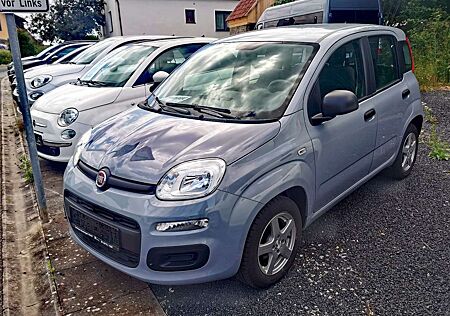 Fiat Panda Easy / Klima / Alufelgen / TÜV neu