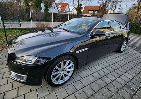 Jaguar XJ 3.0 V6 Kompressor Langversion Portfolio