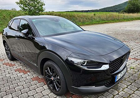 Mazda CX-30 CX 30, AWD,LED,AHK,Leder,SD,Garantie-29