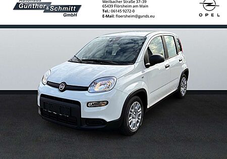Fiat Panda 1.0 Pandina