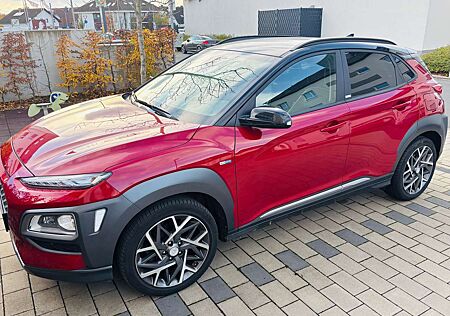 Hyundai Kona Rückfahrt Kamera 8fachbereift Navi KV lich