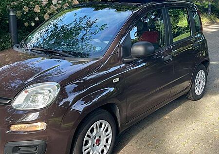 Fiat Panda My