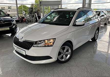 Skoda Fabia 1.0TSI Ambition 1.Hand Navi Climatronic GRA+ EPH S