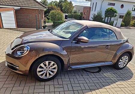 VW Beetle Volkswagen The Cabriolet 2.0 TDI DSG Exclusive Design
