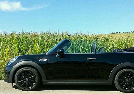 Mini Cooper Cabrio Cabrio Sommerfahrzeug, wenig Kilometer