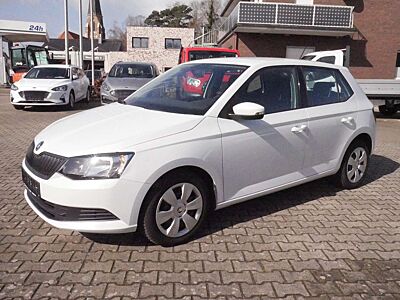 Skoda Fabia Active Klima Servo Tgf 5trg ZV Allwetter