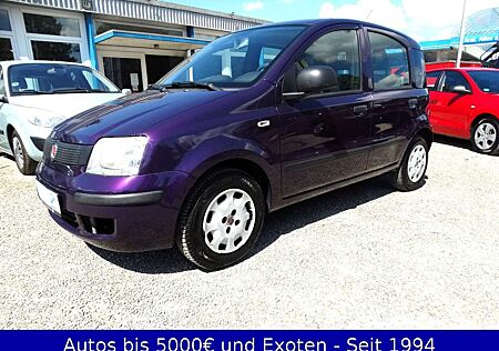Fiat New Panda 1.2 - Tüv Neu