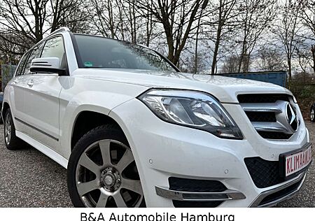 Mercedes-Benz GLK 200 CDI 2 Hand+Tüv/Au+Navi+AHK