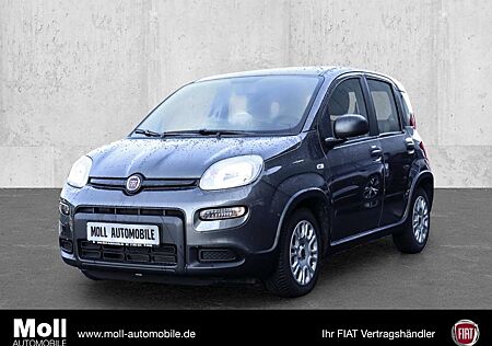 Fiat Panda DAB Berganfahrass. Klima BT teilb.Rücksb eFH RDC R
