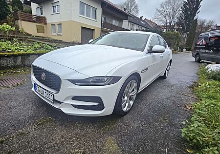 Jaguar XE P250 Aut. S