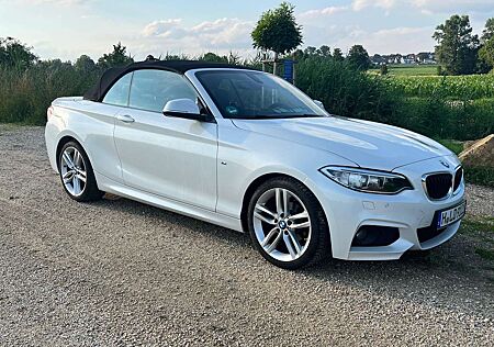 BMW 218i 218 Cabrio M Sport / Scheckheft / 18“ Alu