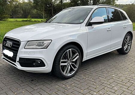 Audi SQ5 3.0 TDI quattro tiptronic TopAusgestattet