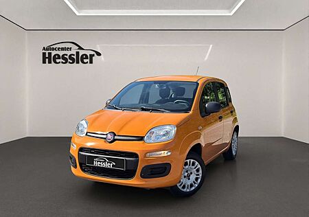 Fiat Panda 1.2 Easy*AHK*KLIMA*1.HD*E-FENSTER*5-TÜRER