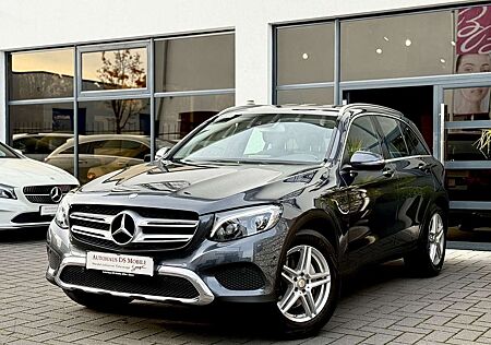 Mercedes-Benz GLC 250 d 4Matic Memory/Navi/AHK
