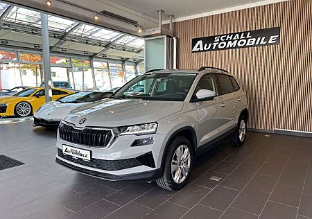 Skoda Karoq Selection/LED/LHZ/ASSISTENT/DAB/CAM/PDC