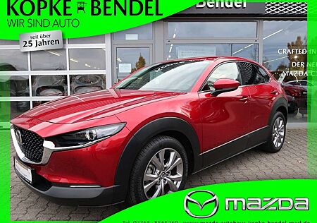 Mazda CX-30 Selection *1. Hand*viele Extras*Bestzustand*150 PS