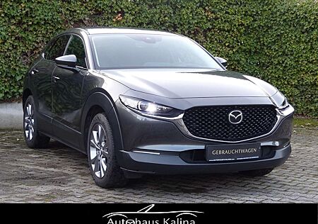 Mazda CX-30 SKYACTIV-G 122PS SELCETION + DESIGN-Paket + Premiu