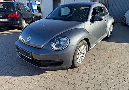VW Beetle gebraucht kaufen VW Beetle Volkswagen 1,2L *Climatronik*SH-VOLL*PDC*1.Hand*ALU*