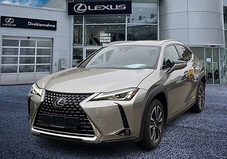 Lexus UX 250h Style Edition ACC FLA ParkAss. SpurW LM