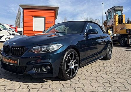 BMW 228i 228 xDrive Cabrio LED Navi Leder PDC Kamera