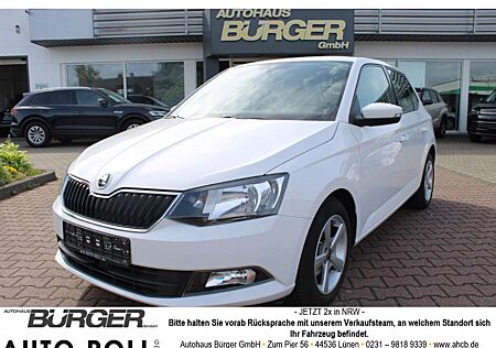 Skoda Fabia Ambition Navigation PDC Sitzheizung 8-Fachbereift-