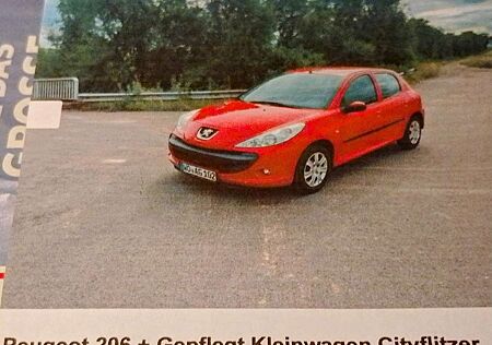 Peugeot 206 + 60