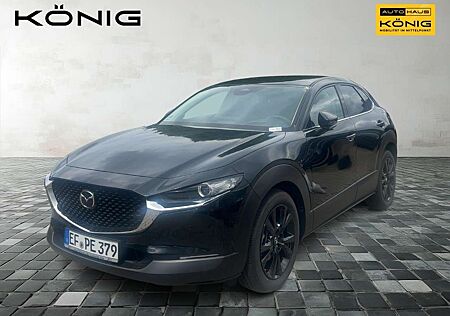 Mazda CX-30 2.5L e-SKYACTIV G 140 Automatik HOMURA