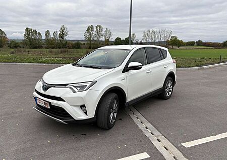 Toyota RAV 4 2.5 4x4 HybridEdition 197 PS
