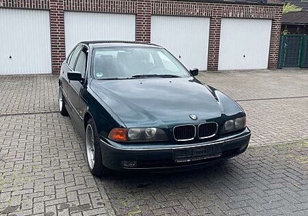 BMW 523i 523
