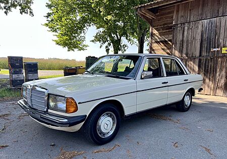 Mercedes-Benz 250 Ungeschweißt, Vergaser Neu* aus Sammlung