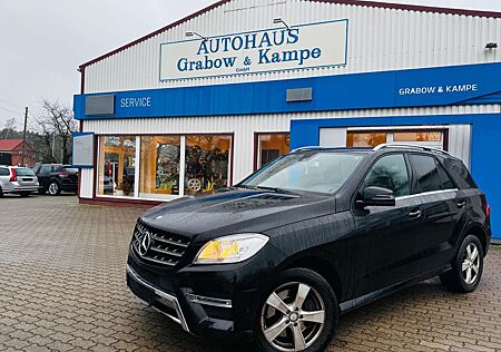 Mercedes-Benz ML 250 CDI BlueTec (166.004)