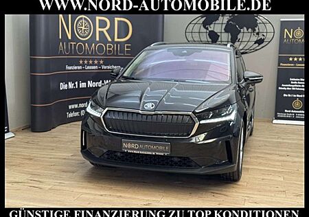 Skoda Enyaq iV 60 Loft Kamera/20/Matrix/Wärmepumpe Loft