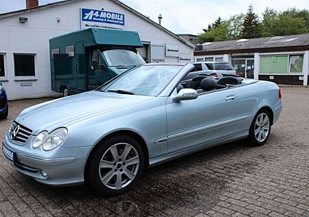 Mercedes-Benz CLK 500 V8 Cabrio Aut Leder Navi Memory SHZ H/K