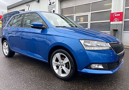 Skoda Fabia LED Klima DAB Shz PDC