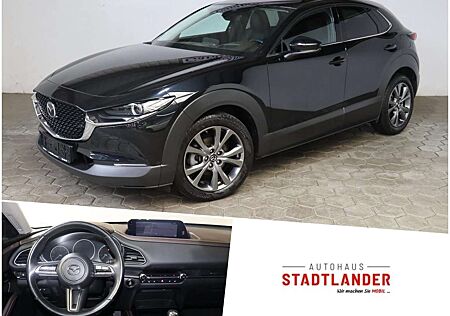 Mazda CX-30 Edition 100 2.0 NAVI*AHK*360CAM*LEDER