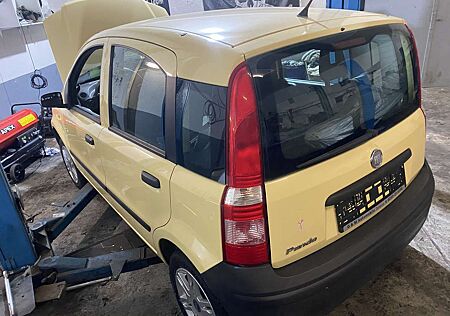 Fiat Panda 1.1 8V Active | 43.000 km & großer Service NEU