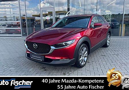 Mazda CX-30 2.5 (140PS) Autom. Exclusive Allwetter. 36