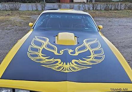 Pontiac Firebird Trans am